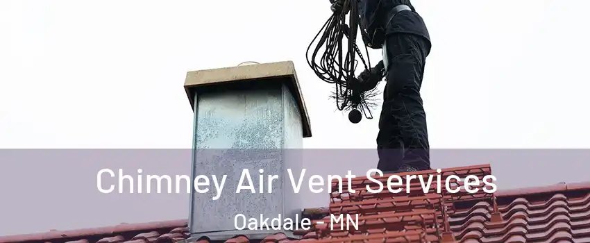  Chimney Air Vent Services Oakdale - MN