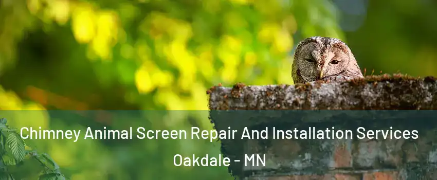  Chimney Animal Screen Repair And Installation Services Oakdale - MN