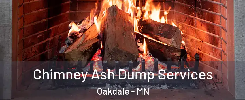  Chimney Ash Dump Services Oakdale - MN