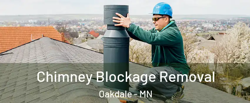 Chimney Blockage Removal Oakdale - MN