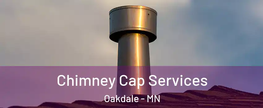  Chimney Cap Services Oakdale - MN