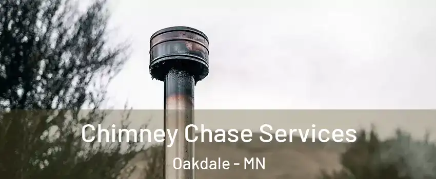  Chimney Chase Services Oakdale - MN