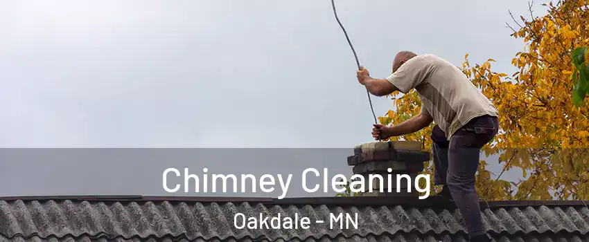  Chimney Cleaning Oakdale - MN