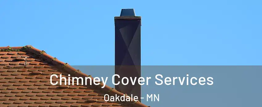  Chimney Cover Services Oakdale - MN
