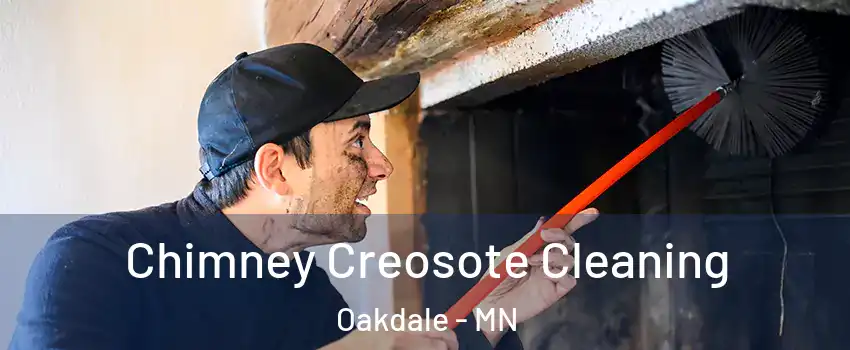  Chimney Creosote Cleaning Oakdale - MN
