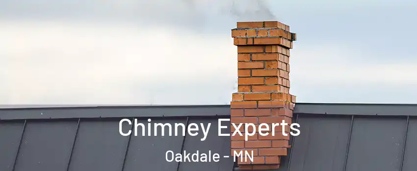 Chimney Experts Oakdale - MN