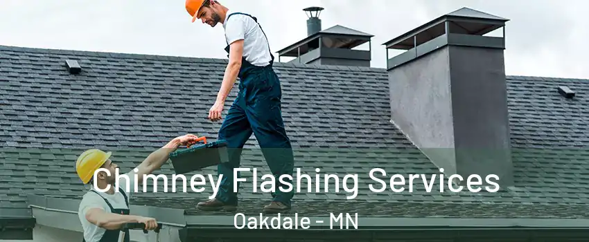  Chimney Flashing Services Oakdale - MN