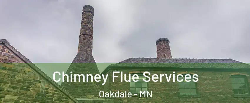  Chimney Flue Services Oakdale - MN