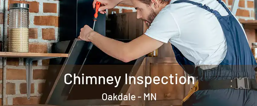  Chimney Inspection Oakdale - MN