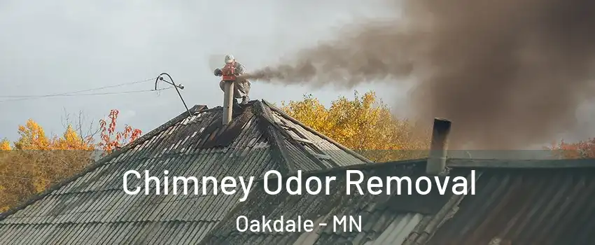  Chimney Odor Removal Oakdale - MN