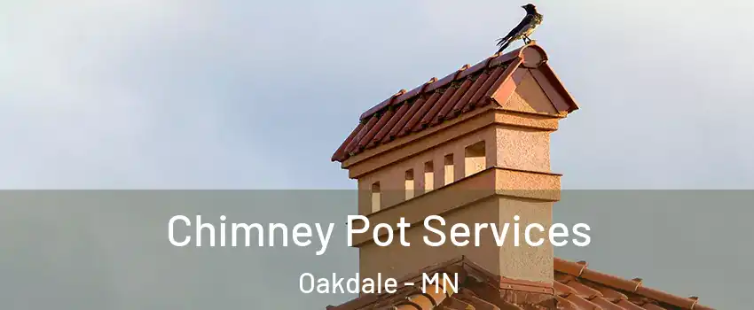  Chimney Pot Services Oakdale - MN