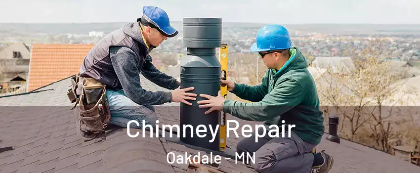  Chimney Repair Oakdale - MN
