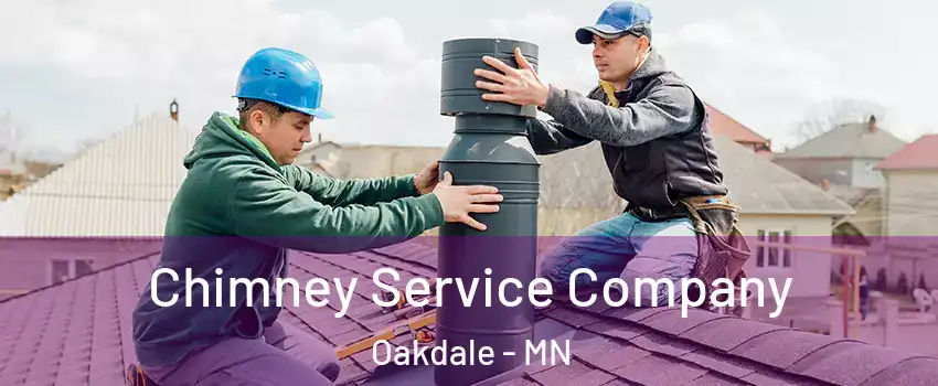  Chimney Service Company Oakdale - MN