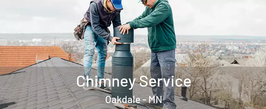  Chimney Service Oakdale - MN