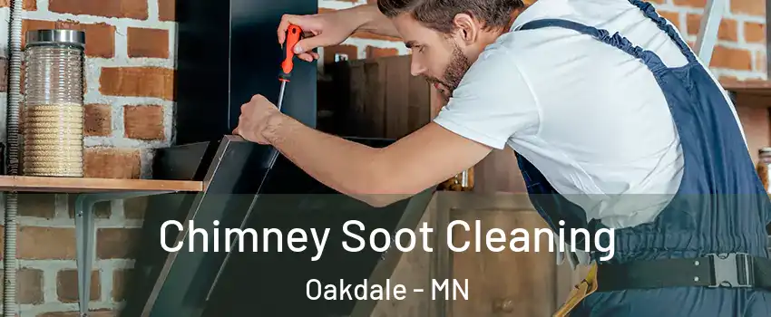  Chimney Soot Cleaning Oakdale - MN