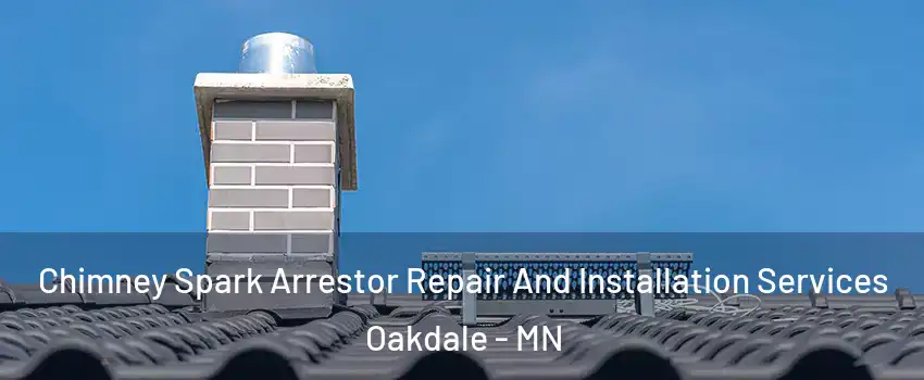  Chimney Spark Arrestor Repair And Installation Services Oakdale - MN