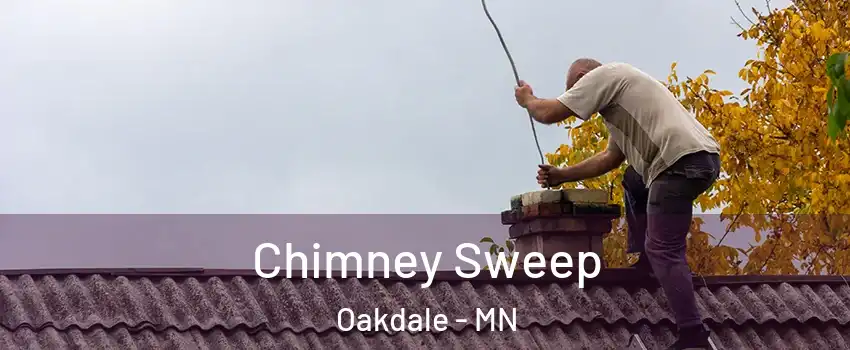  Chimney Sweep Oakdale - MN