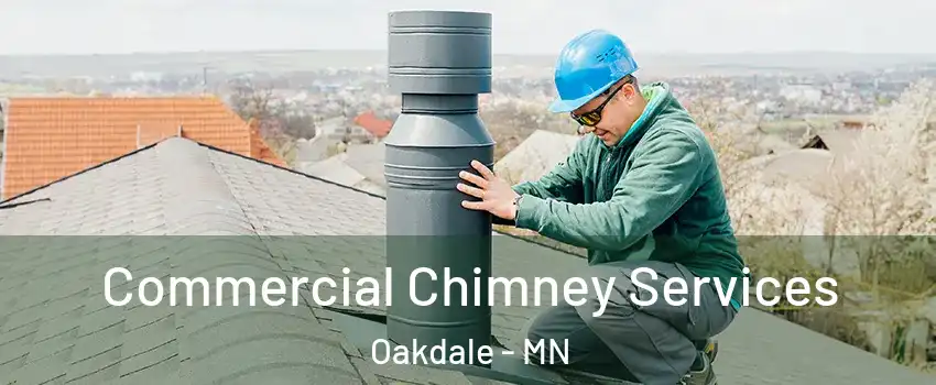  Commercial Chimney Services Oakdale - MN