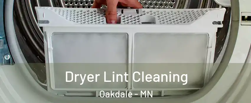  Dryer Lint Cleaning Oakdale - MN