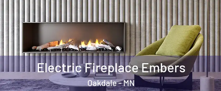  Electric Fireplace Embers Oakdale - MN
