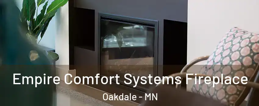  Empire Comfort Systems Fireplace Oakdale - MN