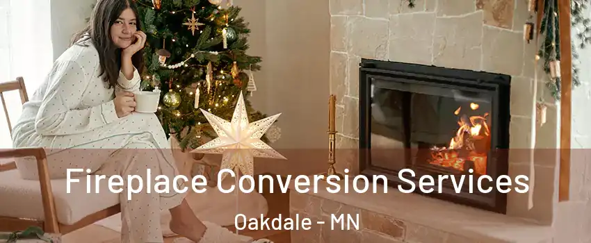  Fireplace Conversion Services Oakdale - MN