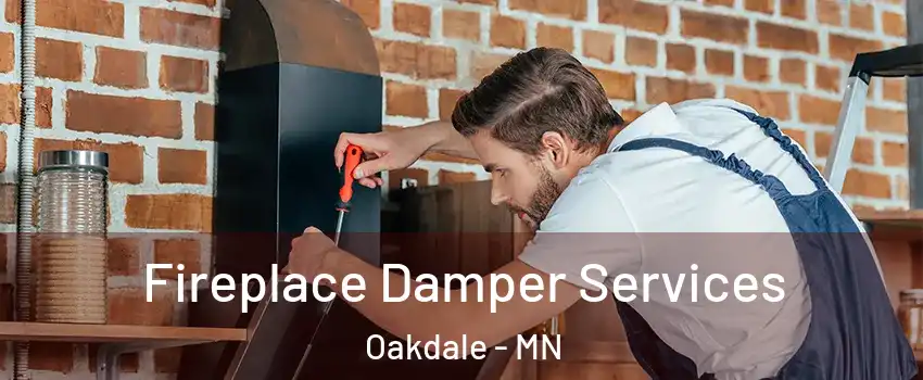  Fireplace Damper Services Oakdale - MN