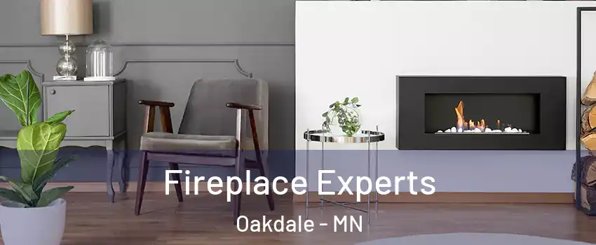  Fireplace Experts Oakdale - MN