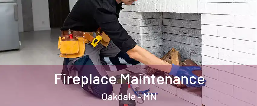  Fireplace Maintenance Oakdale - MN