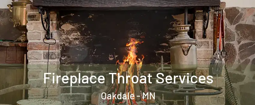  Fireplace Throat Services Oakdale - MN