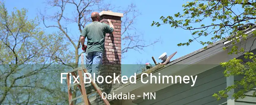  Fix Blocked Chimney Oakdale - MN