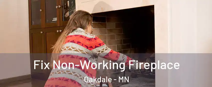  Fix Non-Working Fireplace Oakdale - MN