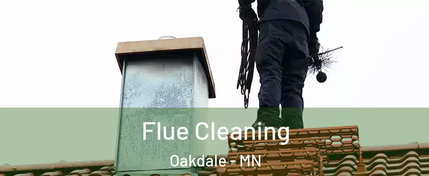  Flue Cleaning Oakdale - MN