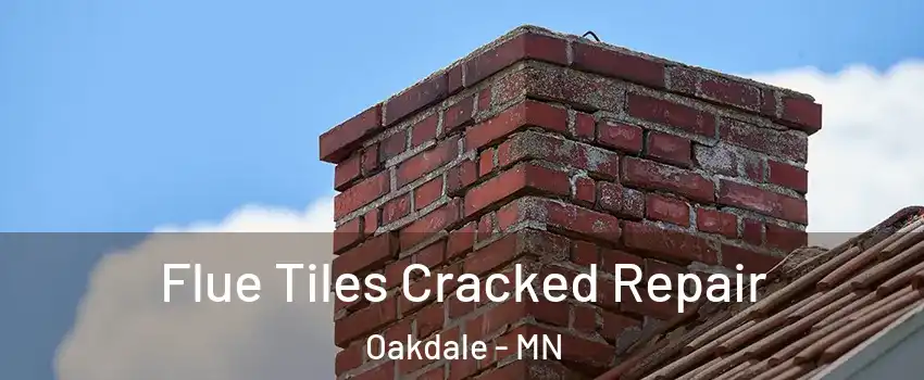  Flue Tiles Cracked Repair Oakdale - MN