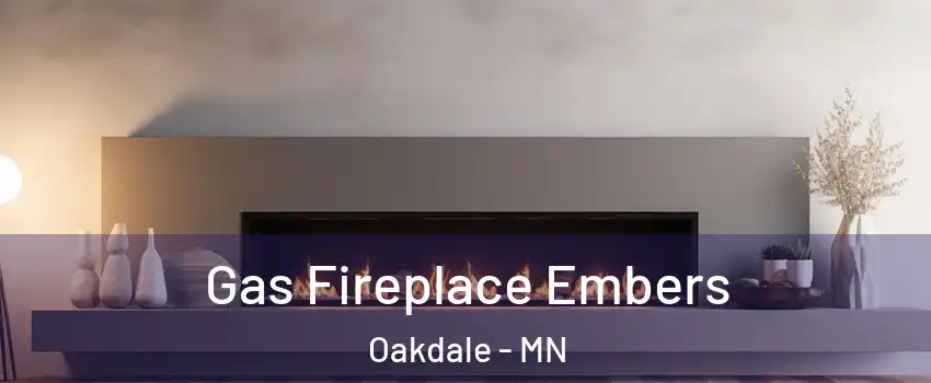 Gas Fireplace Embers Oakdale - MN