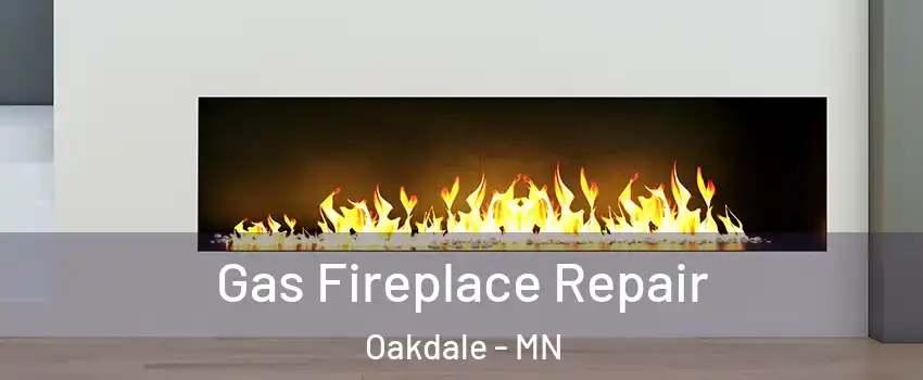  Gas Fireplace Repair Oakdale - MN