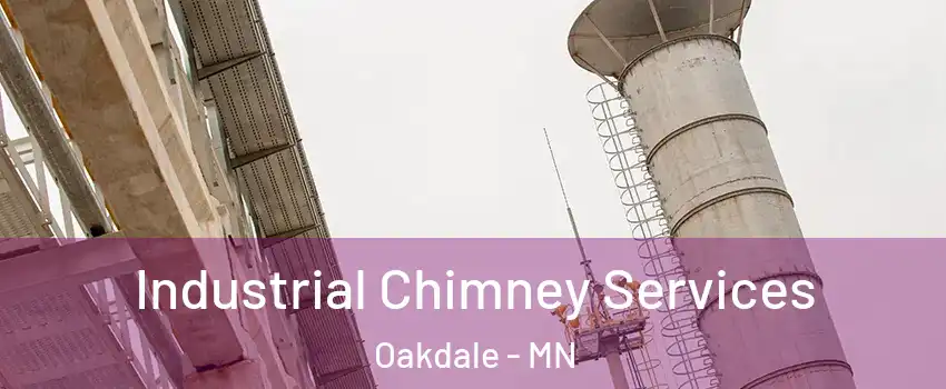  Industrial Chimney Services Oakdale - MN