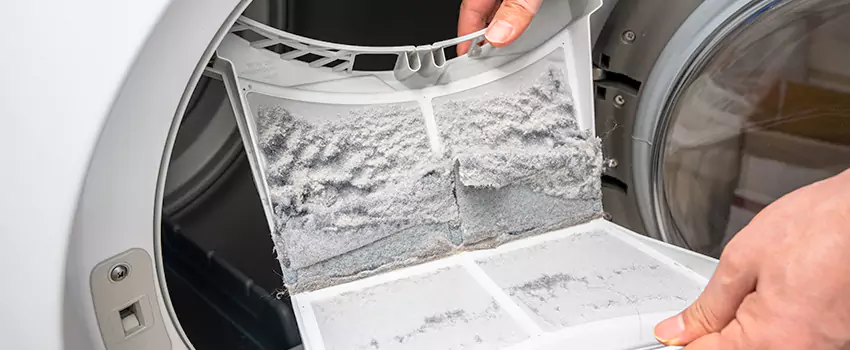 Best Dryer Lint Removal Company in Oakdale, Minnesota