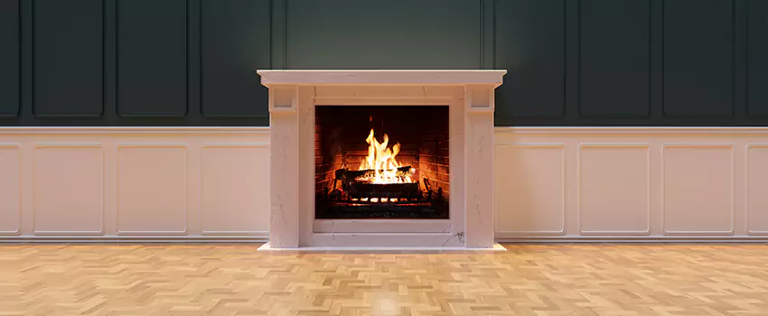 Napoleon Electric Fireplaces Inspection Service in Oakdale, Minnesota