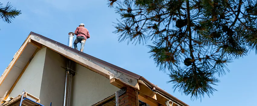 Birds Removal Contractors from Chimney in Oakdale, MN
