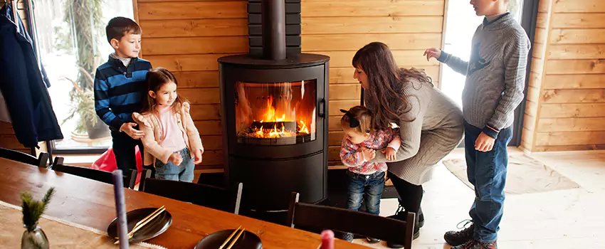 Jøtul Gas Fireplace Inspection Service in Oakdale, Minnesota