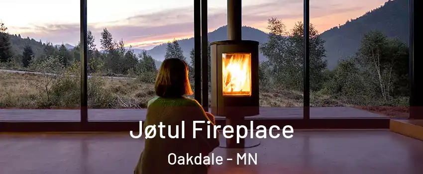  Jøtul Fireplace Oakdale - MN
