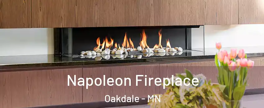  Napoleon Fireplace Oakdale - MN