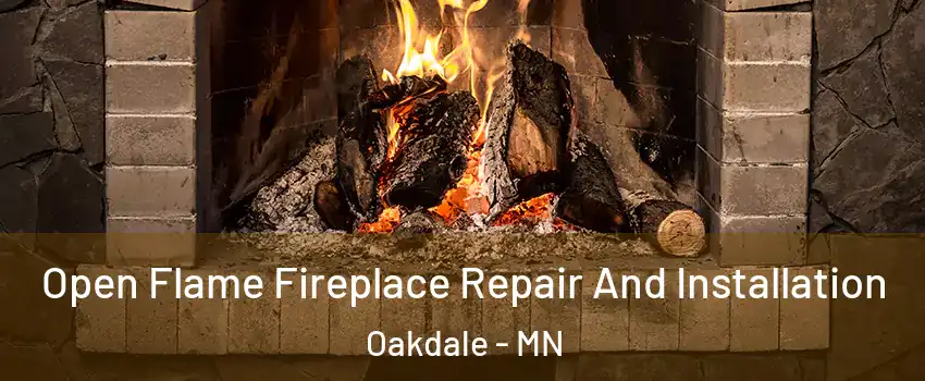  Open Flame Fireplace Repair And Installation Oakdale - MN