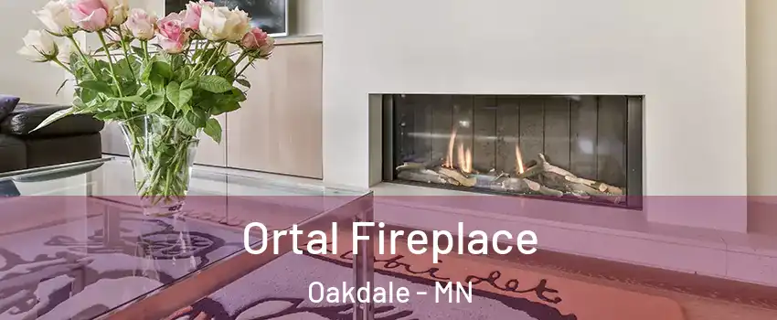  Ortal Fireplace Oakdale - MN