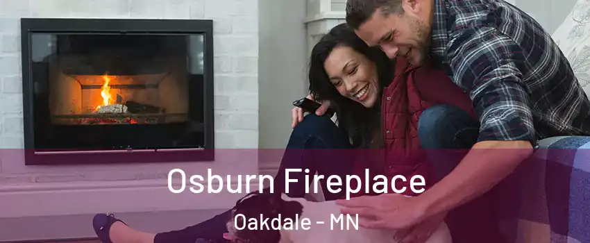  Osburn Fireplace Oakdale - MN