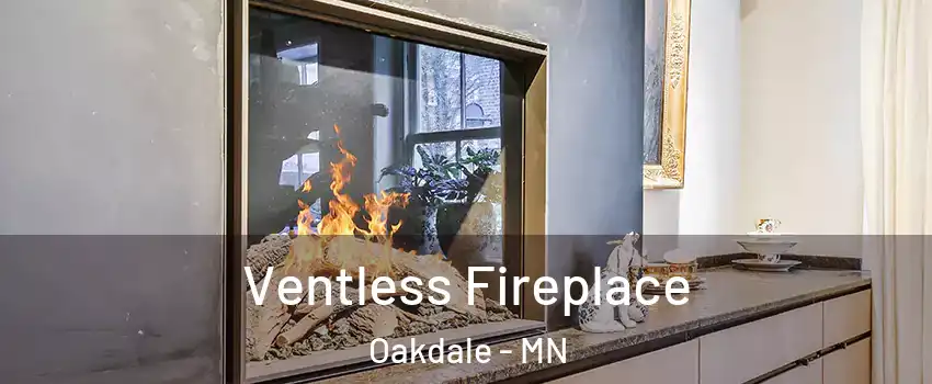  Ventless Fireplace Oakdale - MN